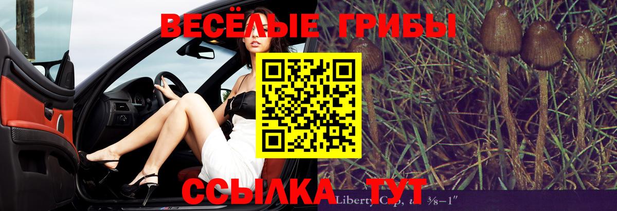 Галлюциногенные грибы мицелий  как найти закладки  Ейск  Псилоцибиновые грибы Psilocybe  Вход с VPN 